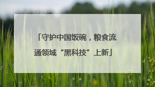 守护中国饭碗，粮食流通领域“黑科技”上新