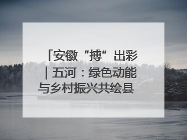 安徽“搏”出彩｜五河：绿色动能与乡村振兴共绘县域发展新图景