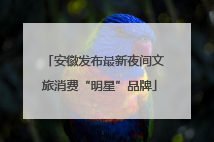 安徽发布最新夜间文旅消费“明星”品牌