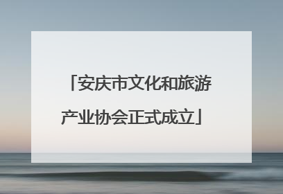 安庆市文化和旅游产业协会正式成立
