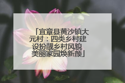宜章县黄沙镇大元村：四类乡村建设扮靓乡村风貌 美丽家园焕新颜