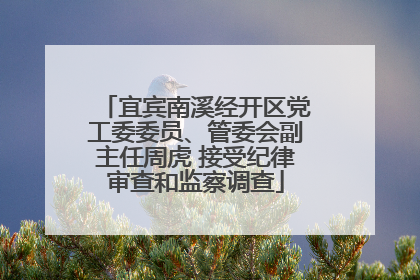 宜宾南溪经开区党工委委员、管委会副主任周虎 接受纪律审查和监察调查