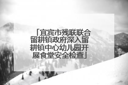 宜宾市残联联合留耕镇政府深入留耕镇中心幼儿园开展食堂安全检查