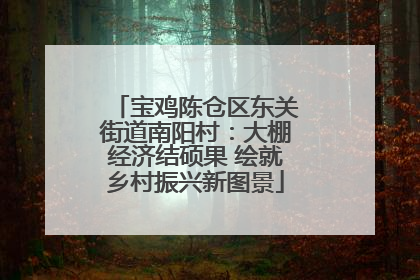 宝鸡陈仓区东关街道南阳村：大棚经济结硕果 绘就乡村振兴新图景