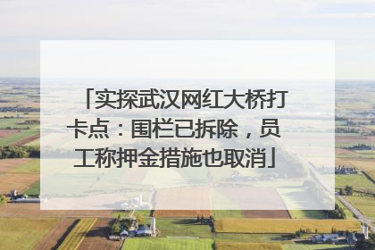 实探武汉网红大桥打卡点：围栏已拆除，员工称押金措施也取消