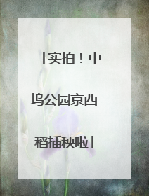 实拍！中坞公园京西稻插秧啦