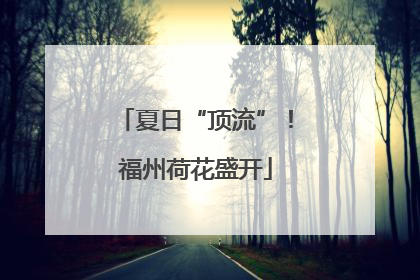 夏日“顶流”！福州荷花盛开