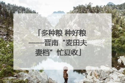 多种粮 种好粮——晋南“麦田夫妻档”忙夏收