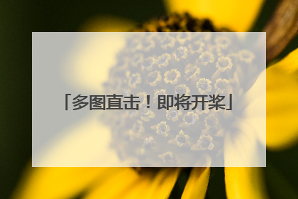 多图直击！即将开桨