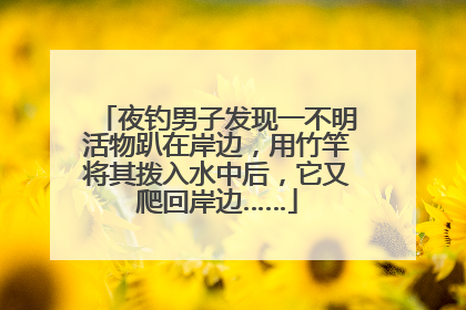 夜钓男子发现一不明活物趴在岸边，用竹竿将其拨入水中后，它又爬回岸边……