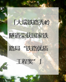 大瑞铁路秀岭隧道荣获国家铁路局“铁路优质工程奖”