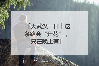 大武汉一日丨这条路会“开花”，只在晚上有