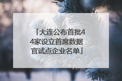 大连公布首批44家设立首席数据官试点企业名单