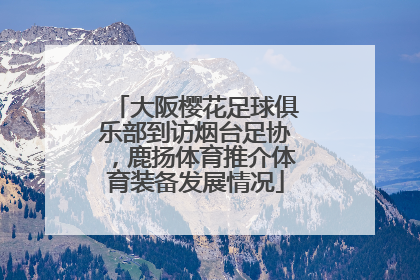 大阪樱花足球俱乐部到访烟台足协，鹿扬体育推介体育装备发展情况