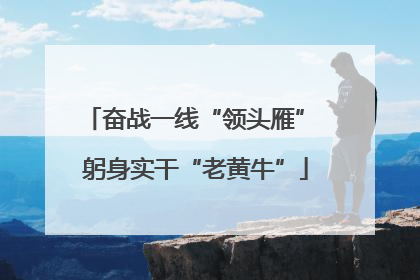 奋战一线“领头雁” 躬身实干“老黄牛”