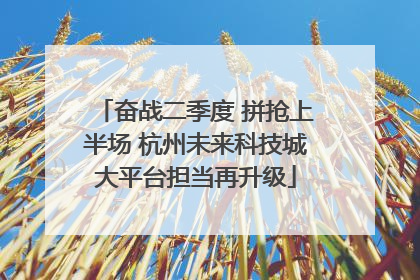 奋战二季度 拼抢上半场 杭州未来科技城大平台担当再升级