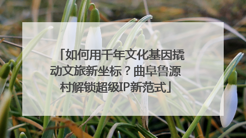 如何用千年文化基因撬动文旅新坐标？曲阜鲁源村解锁超级IP新范式