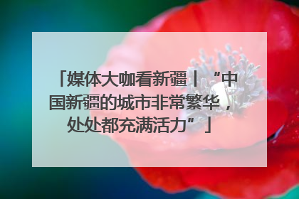 媒体大咖看新疆丨“中国新疆的城市非常繁华，处处都充满活力”