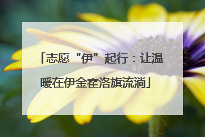 志愿“伊”起行：让温暖在伊金霍洛旗流淌