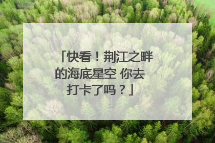 快看！荆江之畔的海底星空 你去打卡了吗？