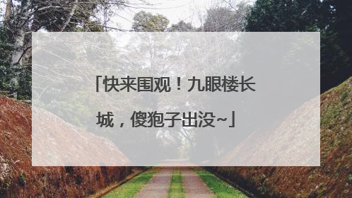 快来围观！九眼楼长城，傻狍子出没~