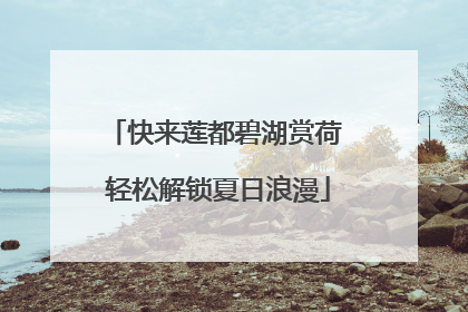 快来莲都碧湖赏荷 轻松解锁夏日浪漫