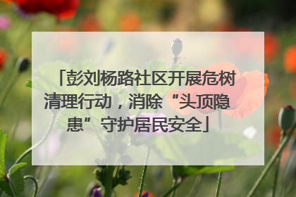 彭刘杨路社区开展危树清理行动，消除“头顶隐患”守护居民安全