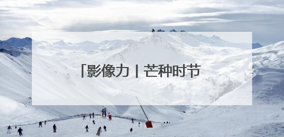 影像力丨芒种时节 田间地头绘“丰”景