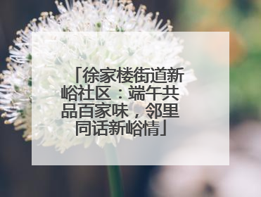徐家楼街道新峪社区：端午共品百家味，邻里同话新峪情