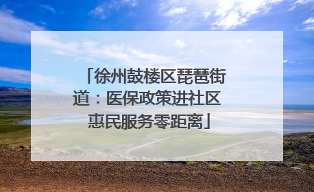 徐州鼓楼区琵琶街道：医保政策进社区 惠民服务零距离