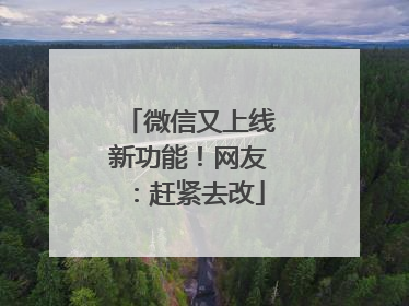微信又上线新功能！网友：赶紧去改