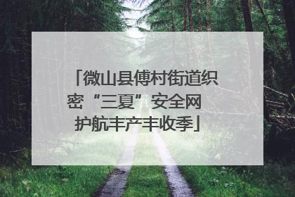 微山县傅村街道织密“三夏”安全网 护航丰产丰收季