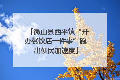 微山县西平镇“开办餐饮店一件事”跑出便民加速度