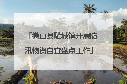 微山县驩城镇开展防汛物资自查盘点工作