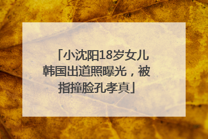 小沈阳18岁女儿韩国出道照曝光，被指撞脸孔孝真