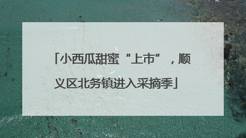 小西瓜甜蜜“上市”，顺义区北务镇进入采摘季