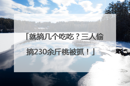 就摘几个吃吃？三人偷摘230余斤桃被抓！