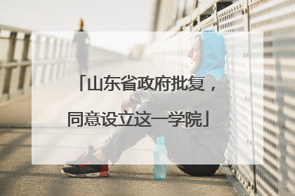 山东省政府批复，同意设立这一学院