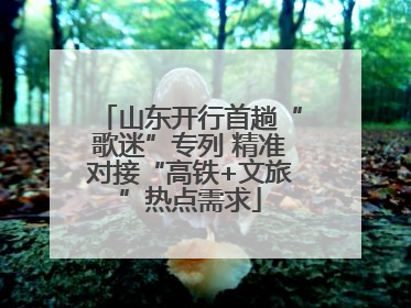 山东开行首趟“歌迷”专列 精准对接“高铁+文旅”热点需求