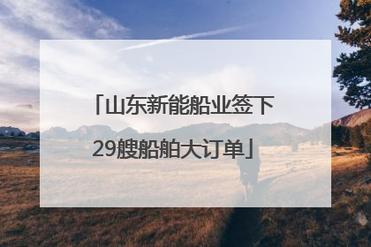山东新能船业签下29艘船舶大订单