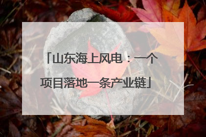 山东海上风电：一个项目落地一条产业链