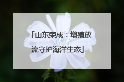 山东荣成：增殖放流守护海洋生态