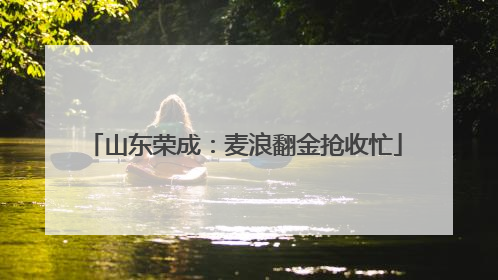 山东荣成：麦浪翻金抢收忙