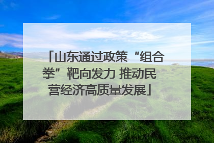 山东通过政策“组合拳”靶向发力 推动民营经济高质量发展