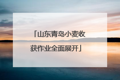山东青岛小麦收获作业全面展开