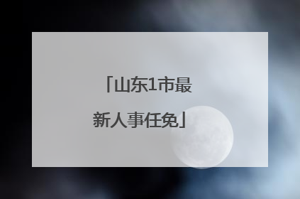 山东1市最新人事任免