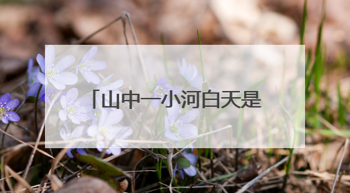 山中一小河白天是“清水河”晚上成“黄水河”，江西会昌正在溯源，已有企业被要求停工