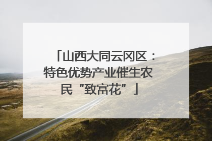 山西大同云冈区：特色优势产业催生农民“致富花”