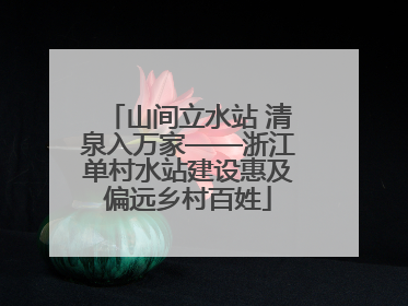 山间立水站 清泉入万家——浙江单村水站建设惠及偏远乡村百姓