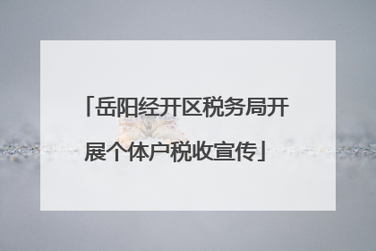 岳阳经开区税务局开展个体户税收宣传